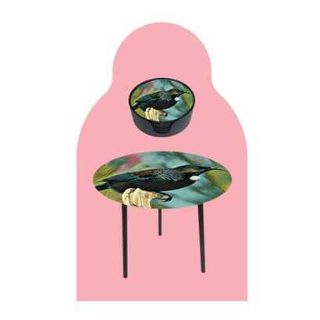 Giftware & Ornaments | Shady Lady Lighting