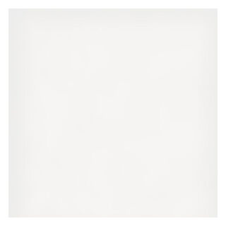 02a White Chintz