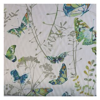 09a Butterfly