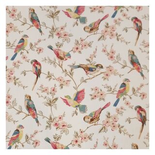 17a Birds