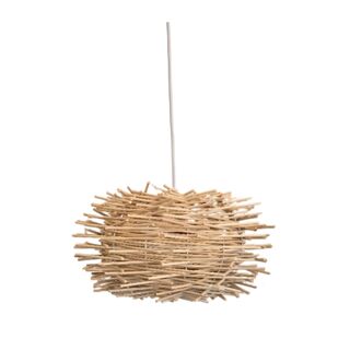 Spike Nest