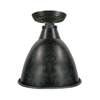 Riverside Black Ceiling
