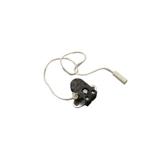 Pull Switch 1 Amp