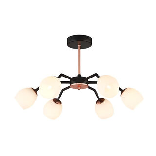 Bella 6 Light