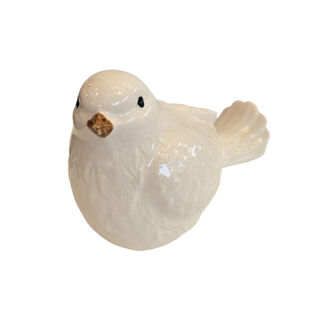 White Robin