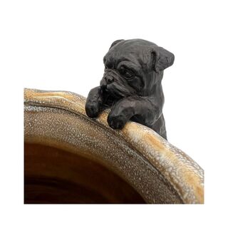 Small Bulldog Hanging