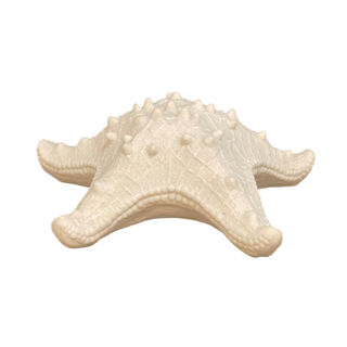 Starfish